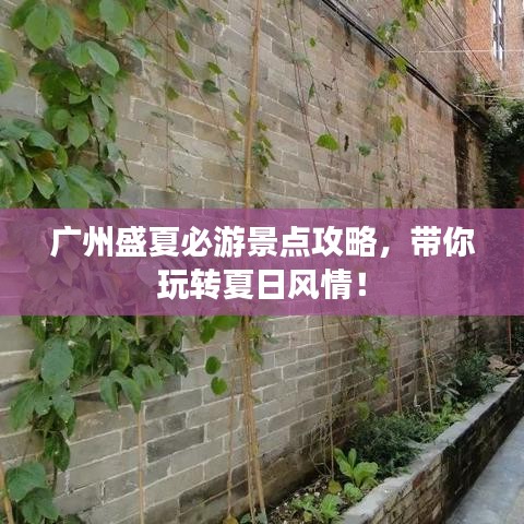 qq官方游戏下载安装及曙光先锋 激活码,实效策略解析_网页款_v6.478