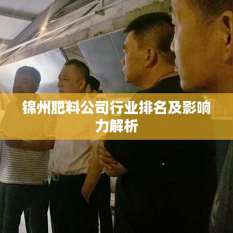 锦州肥料公司行业排名及影响力解析