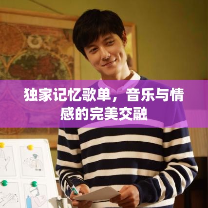 独家记忆歌单，音乐与情感的完美交融