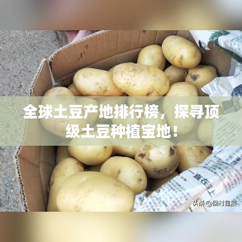 全球土豆产地排行榜，探寻顶级土豆种植宝地！