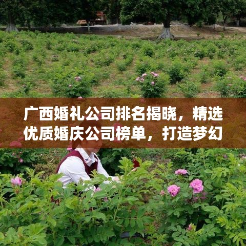 广西婚礼公司排名揭晓,精选优质婚庆公司榜单,打造梦幻婚礼首选!