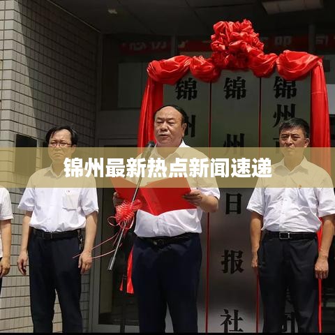 锦州最新热点新闻速递