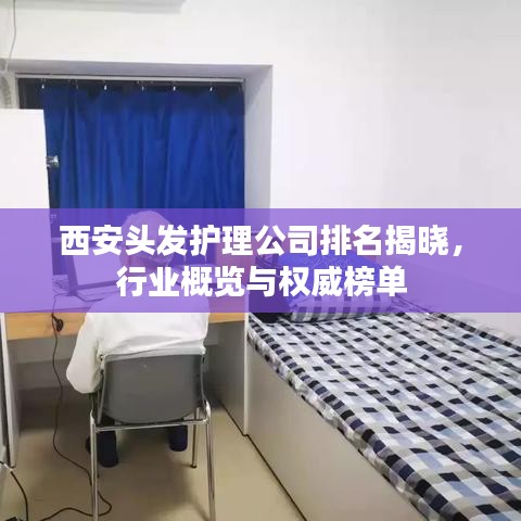 西安头发护理公司排名揭晓,行业概览与权威榜单