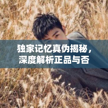 独家记忆真伪揭秘，深度解析正品与否
