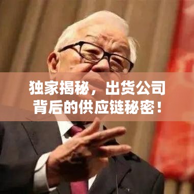 独家揭秘,出货公司背后的供应链秘密!