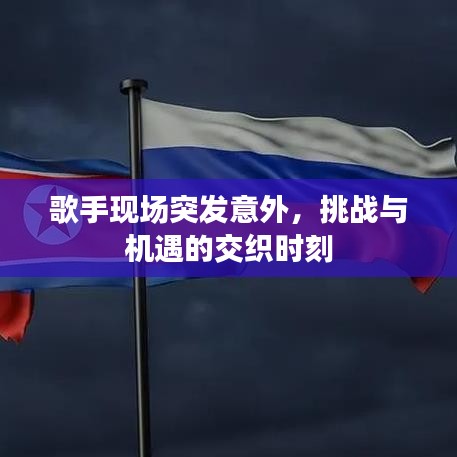 歌手现场突发意外,挑战与机遇的交织时刻