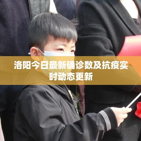 洛阳今日最新确诊数及抗疫实时动态更新