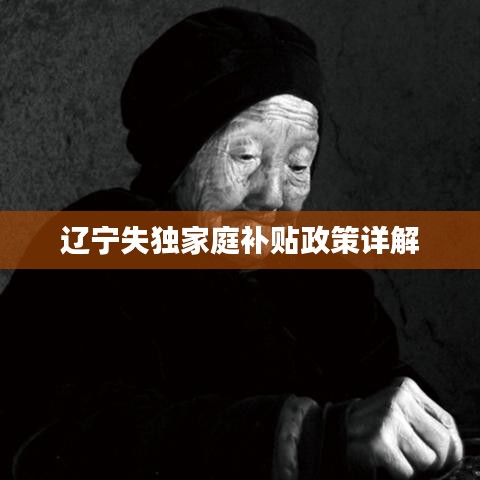 辽宁失独家庭补贴政策详解