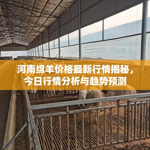 河南绵羊价格最新行情揭秘，今日行情分析与趋势预测