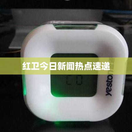 红卫今日新闻热点速递