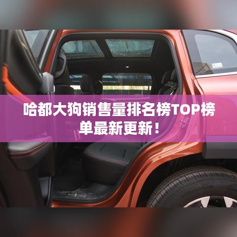 哈都大狗销售量排名榜TOP榜单最新更新！