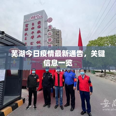 芜湖今日疫情最新通告,关键信息一览