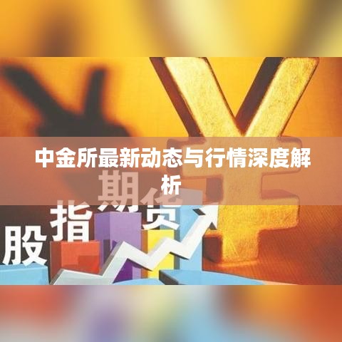 中金所最新动态与行情深度解析
