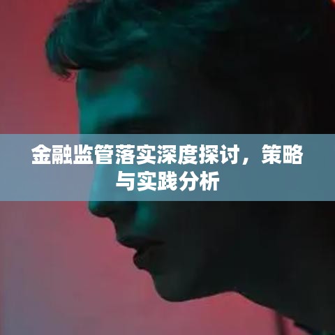 金融监管落实深度探讨,策略与实践分析