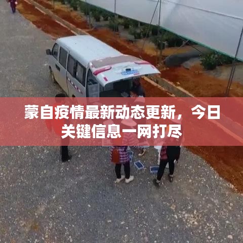 蒙自疫情最新动态更新，今日关键信息一网打尽