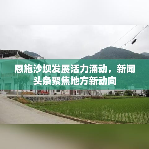 恩施沙坝发展活力涌动,新闻头条聚焦地方新动向