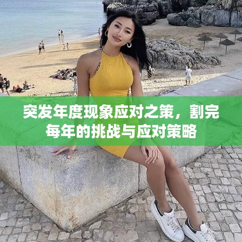 突发年度现象应对之策，割完每年的挑战与应对策略