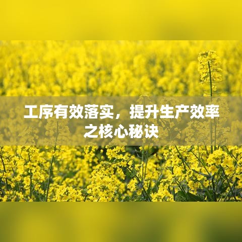 工序有效落实,提升生产效率之核心秘诀