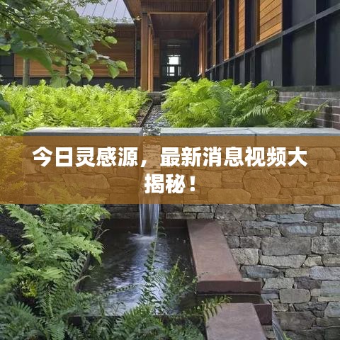 今日灵感源，最新消息视频大揭秘！