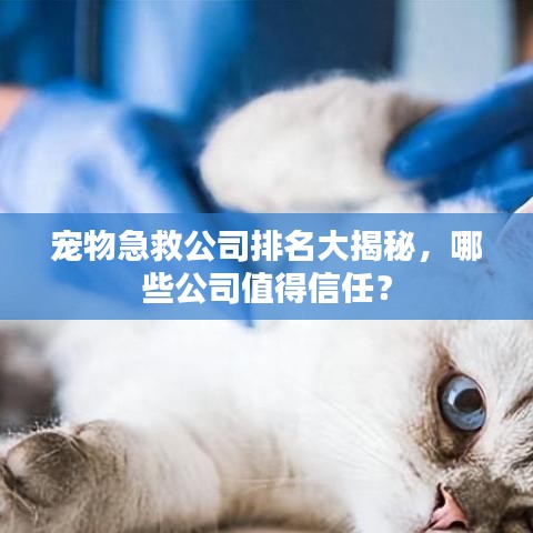 宠物急救公司排名大揭秘，哪些公司值得信任？