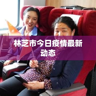 林芝市今日疫情最新动态