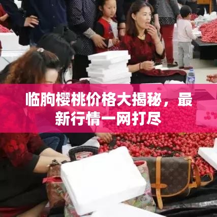 临朐樱桃价格大揭秘，最新行情一网打尽
