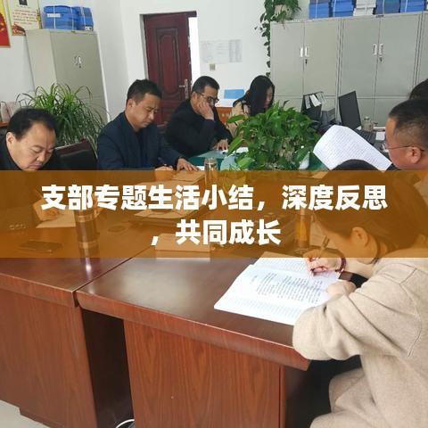 支部专题生活小结，深度反思，共同成长