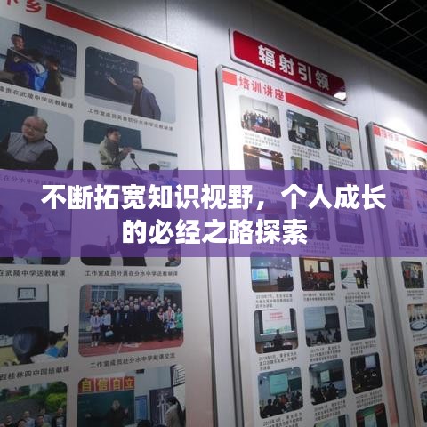 不断拓宽知识视野，个人成长的必经之路探索