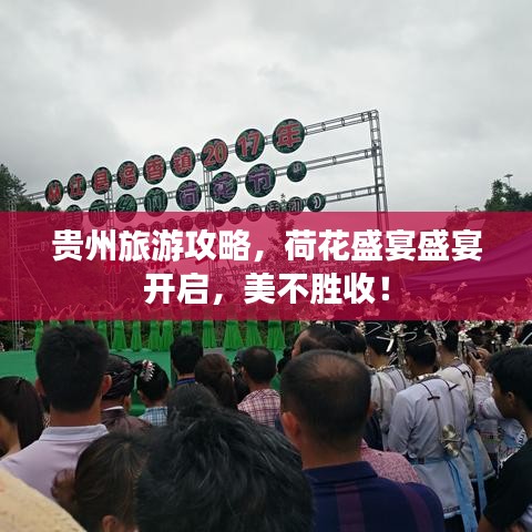 贵州旅游攻略，荷花盛宴盛宴开启，美不胜收！