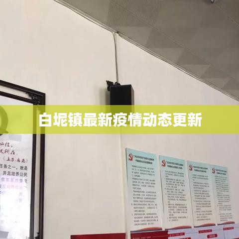 白坭镇最新疫情动态更新
