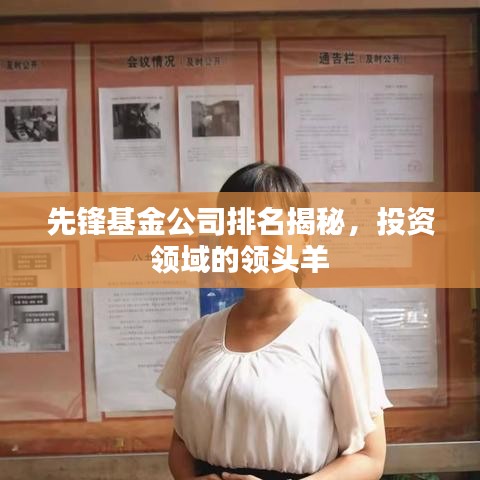 先锋基金公司排名揭秘,投资领域的领头羊