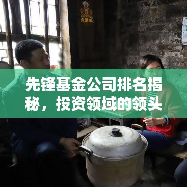 先锋基金公司排名揭秘，投资领域的领头羊