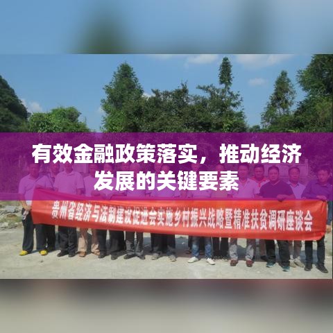 有效金融政策落实，推动经济发展的关键要素
