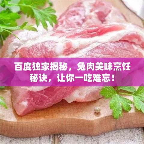 百度独家揭秘,兔肉美味烹饪秘诀,让你一吃难忘!