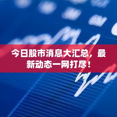 今日股市消息大汇总，最新动态一网打尽！