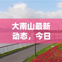 大南山最新动态,今日揭秘最新消息!