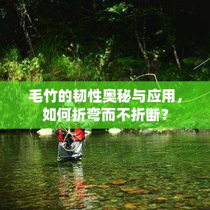 毛竹的韧性奥秘与应用，如何折弯而不折断？