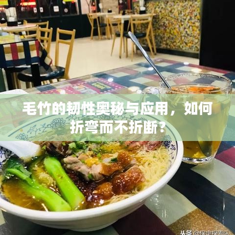 毛竹的韧性奥秘与应用,如何折弯而不折断?