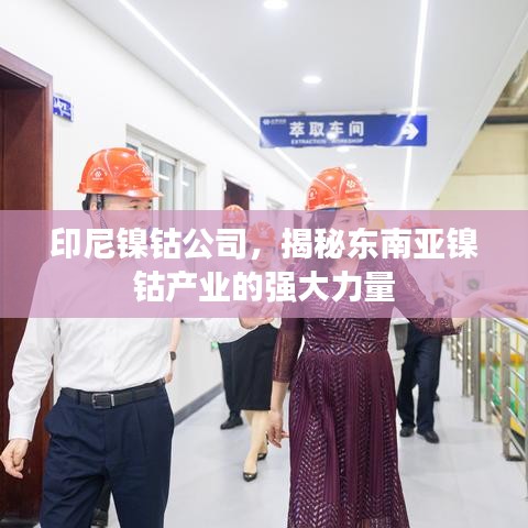 印尼镍钴公司,揭秘东南亚镍钴产业的强大力量