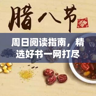 周日阅读指南，精选好书一网打尽！最新攻略大全