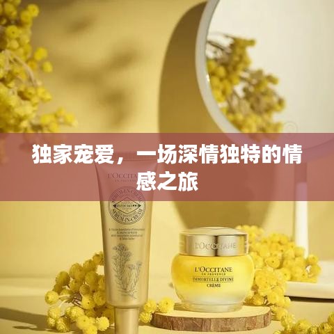 独家宠爱，一场深情独特的情感之旅
