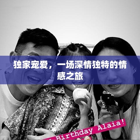 独家宠爱,一场深情独特的情感之旅