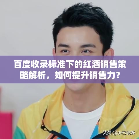 百度收录标准下的红酒销售策略解析，如何提升销售力？