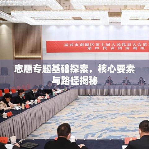 志愿专题基础探索，核心要素与路径揭秘