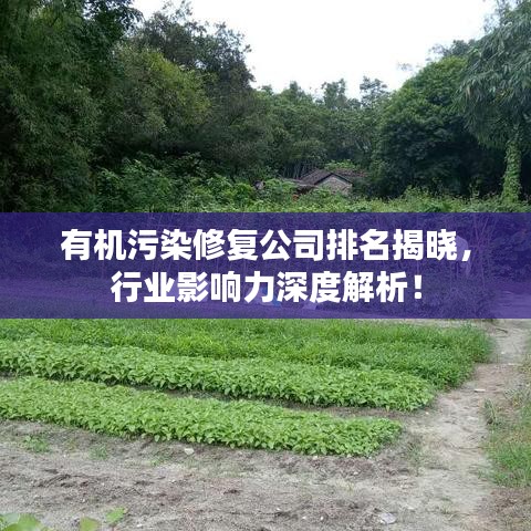 有机污染修复公司排名揭晓，行业影响力深度解析！