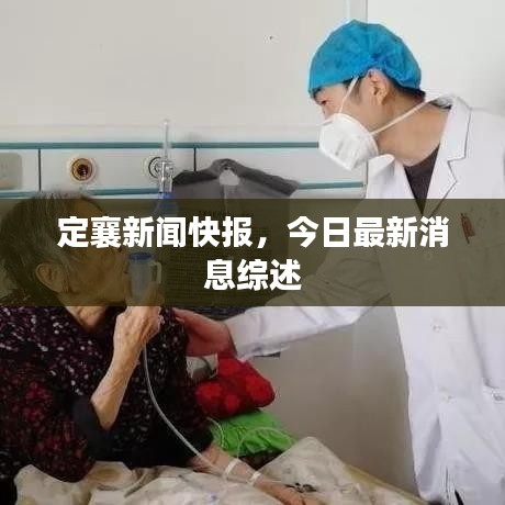 定襄新闻快报，今日最新消息综述