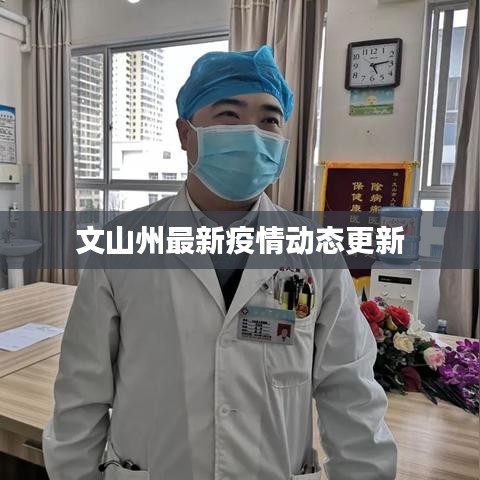 文山州最新疫情动态更新