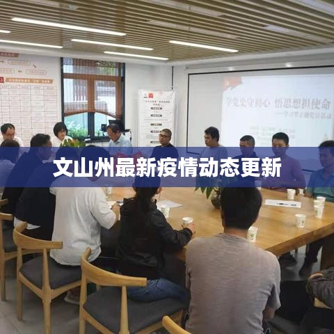 文山州最新疫情动态更新