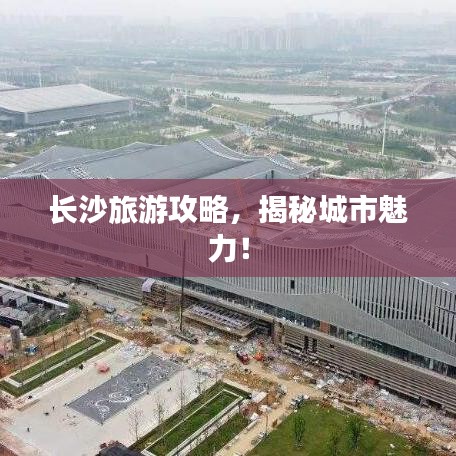 月里嫦娥 第6页