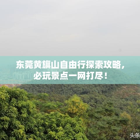 东莞黄旗山自由行探索攻略，必玩景点一网打尽！